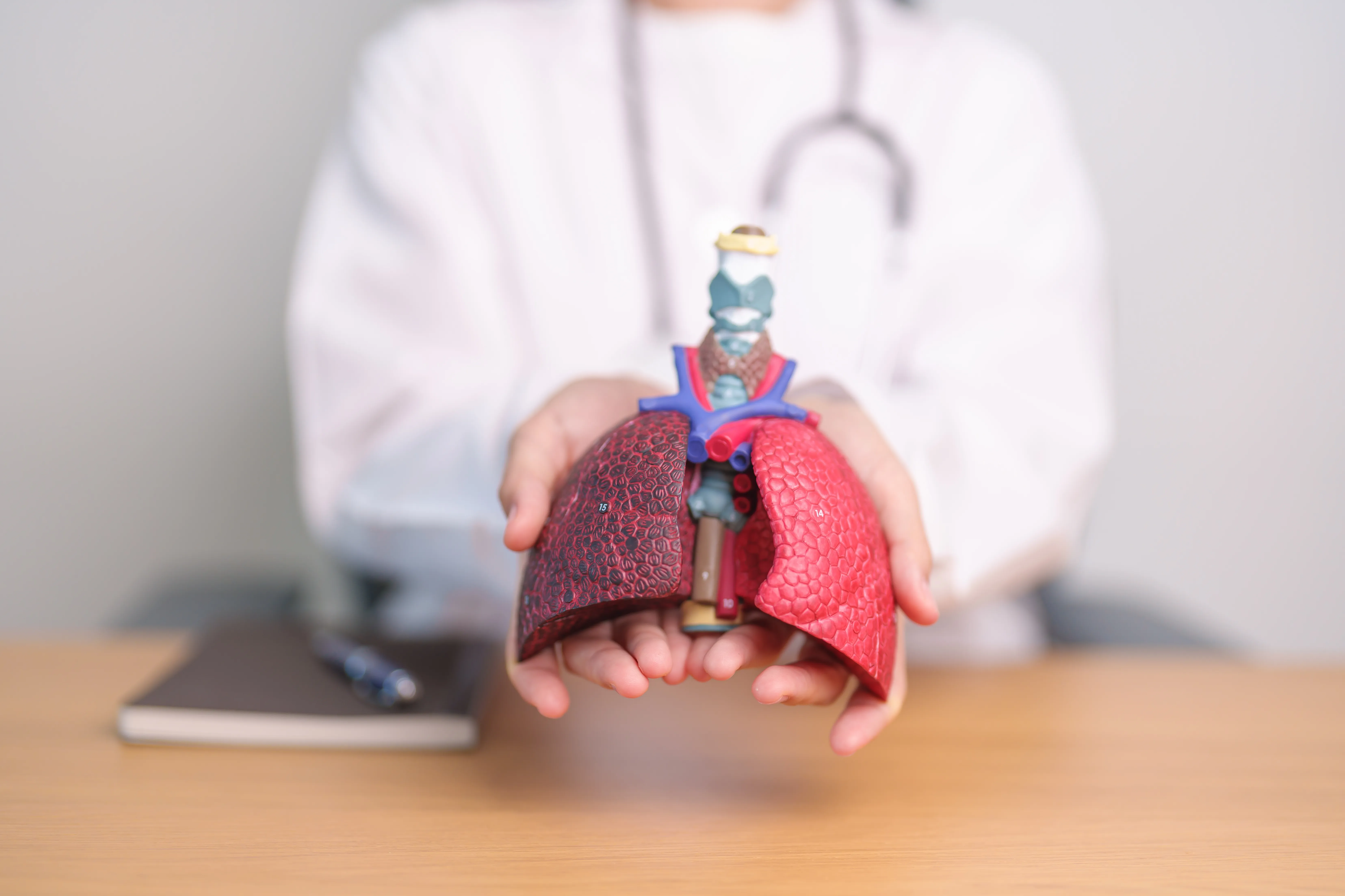 Doctor with Smoker and normal Lung anatomy for Disease. Lung Cancer, Asthma, Chronic Obstr